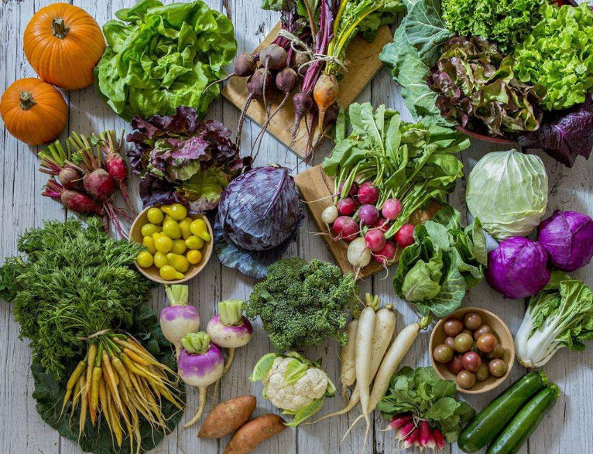 微信圖片_20190521174528 微信圖片_20190521174528