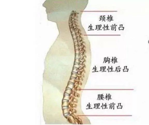 微信圖片_20220701151643