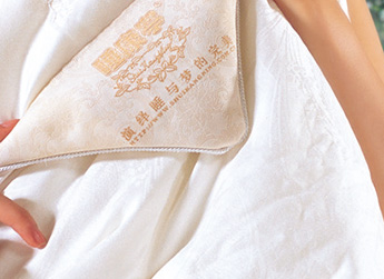 SG8006全長蠶絲被