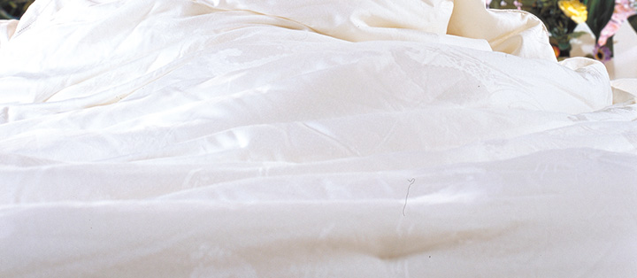 SG8006全長蠶絲被